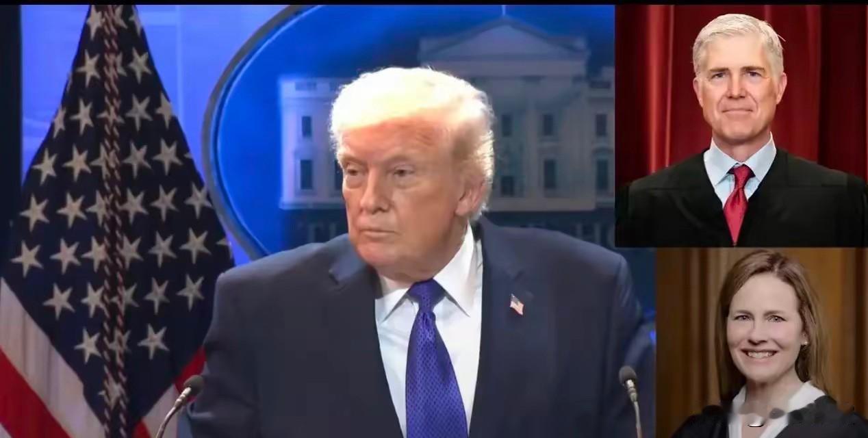 川普破防：关键时刻自己人反水，关税大棒被没收！自己人出手最打脸，这事看着真爽