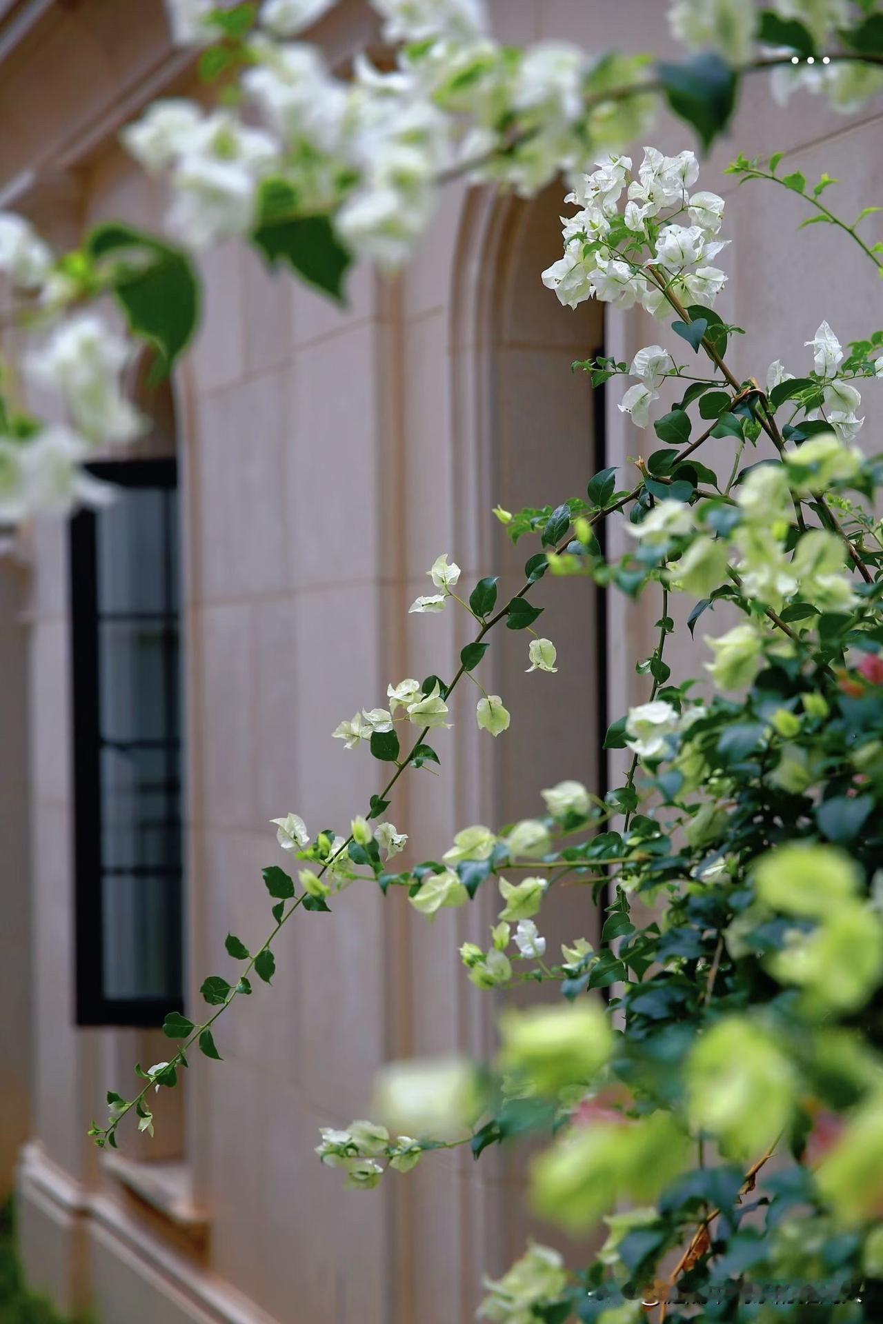 我有个同学，体制内退休的，以前是个领导。在同学聚会上遇到几次。以前他还是领导