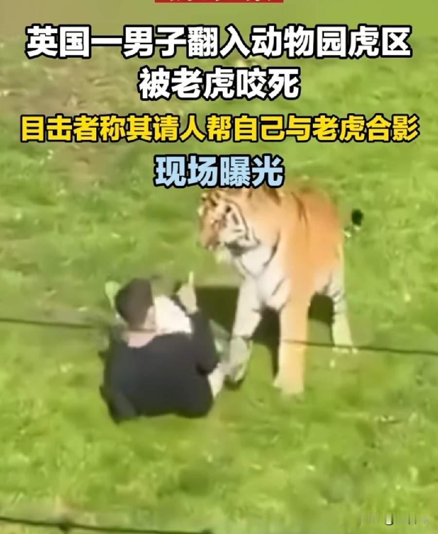 2026年10月10日，国外发生一起极其荒诞又惨烈的动物园悲剧：国外男子在野生