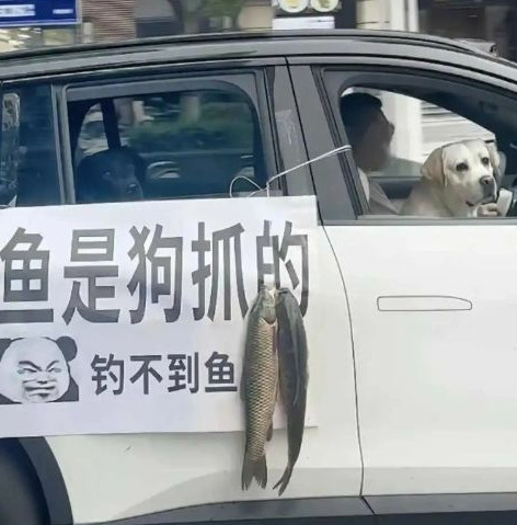 再加上一句:狗是我养的。