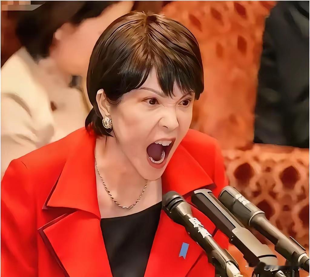 2025年12月17日，日本财务省宣布了一个让人意外的消息：11月贸易顺差高达3