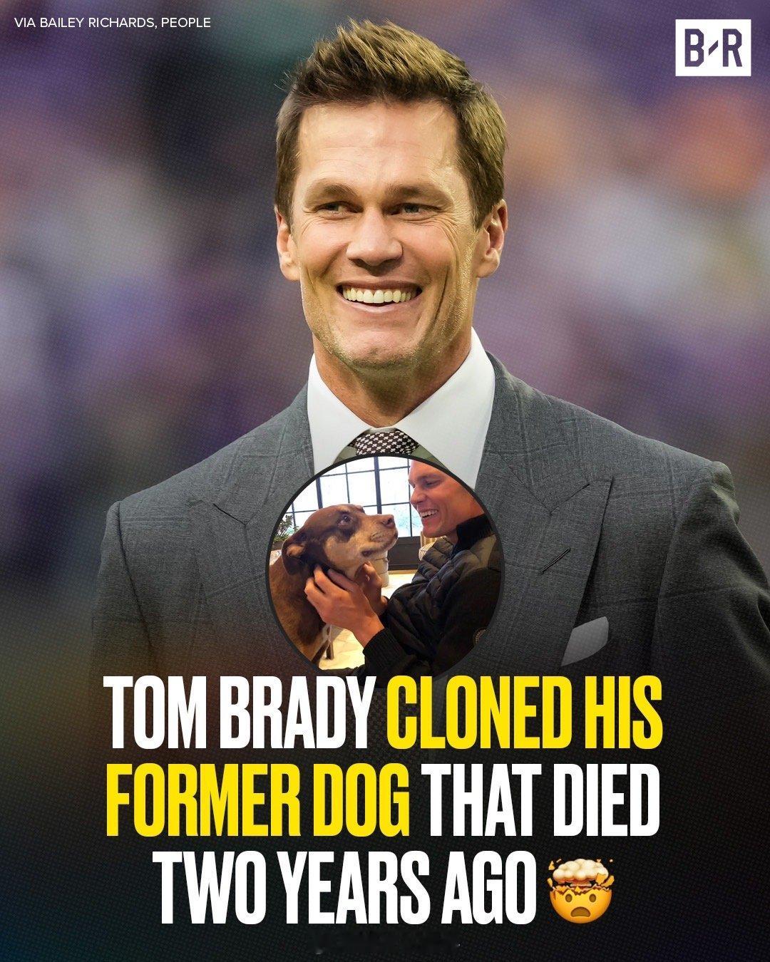 TomBrady透露，他现在的狗Junie是他已故爱犬Lua的克隆体，