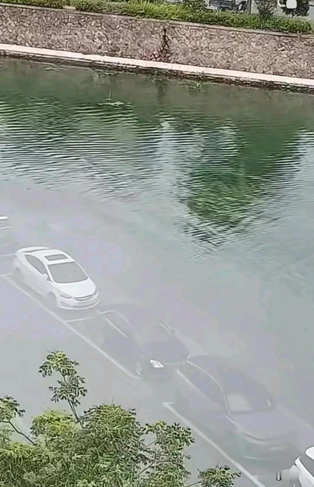 像这样泥沙都已经沉淀了，水应该很难排出去了吧