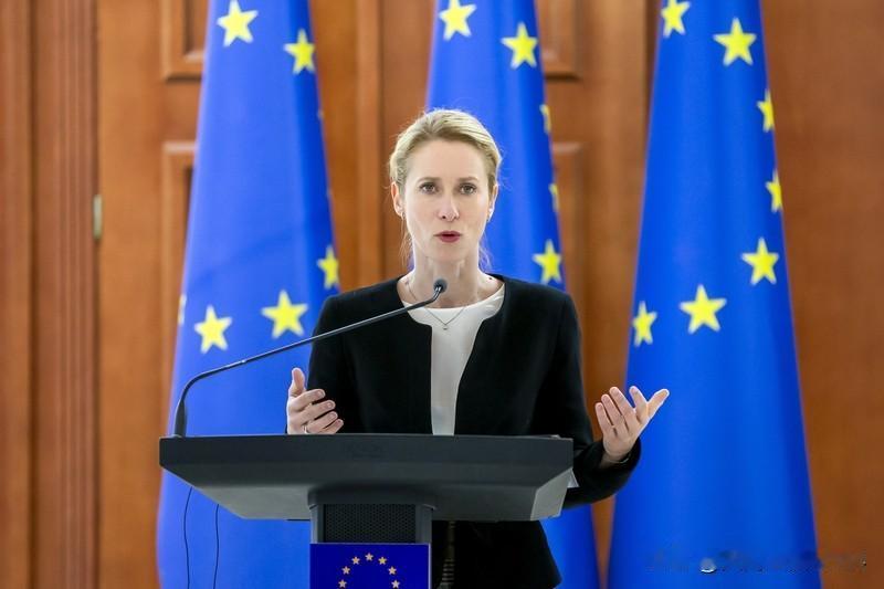 博主：欧盟抢家底企图逼俄放双重狠话欧盟这是急红了眼，为了抢俄罗斯的钱真是不择手