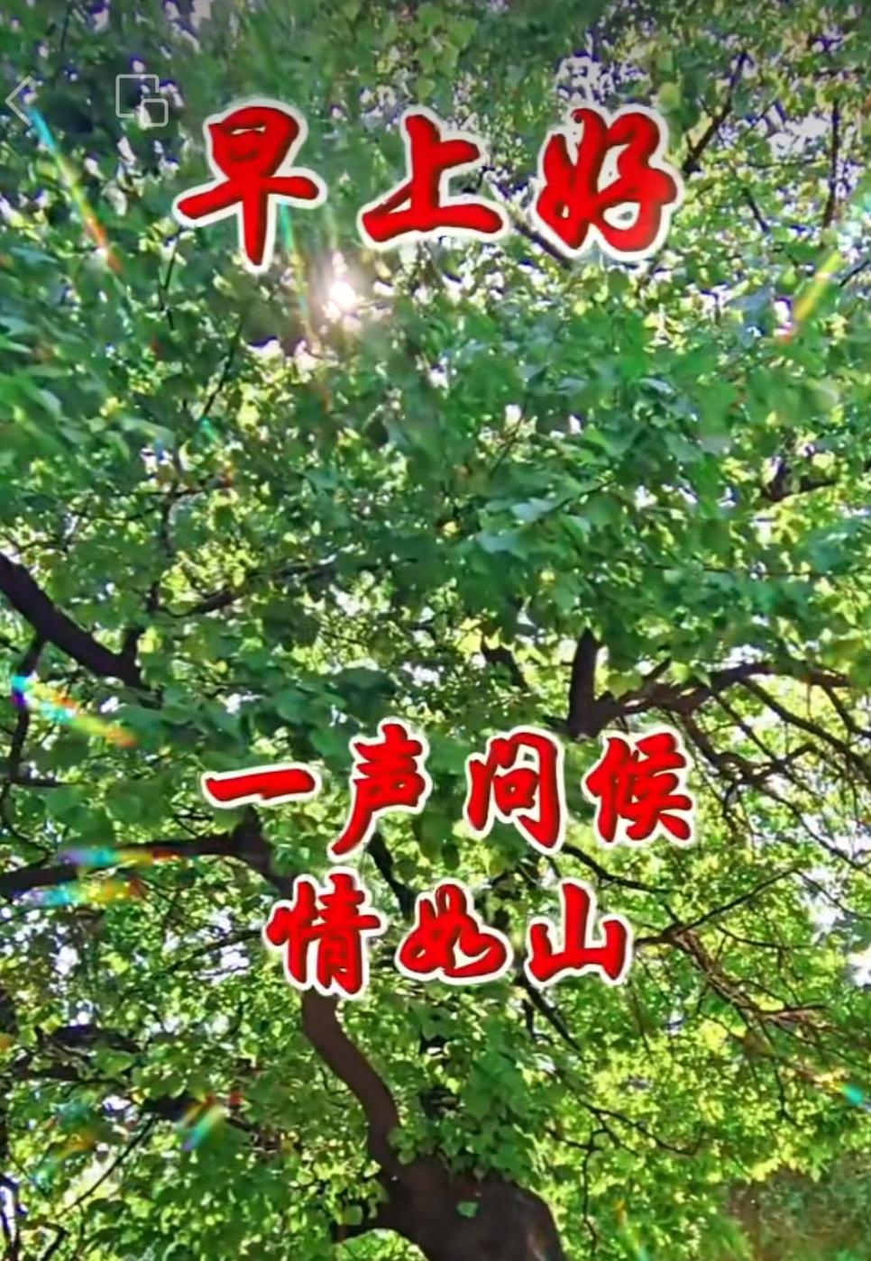 人生短暫必須善待自己，一脈相承必須愛護親人，感恩緣分必須珍惜朋友，彼此在意
