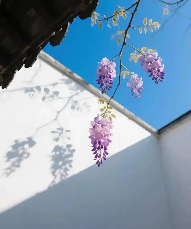 很有道理的一段话：“永远记住人际交往的最强大秘诀就是，不要害怕任何关系的破裂，很