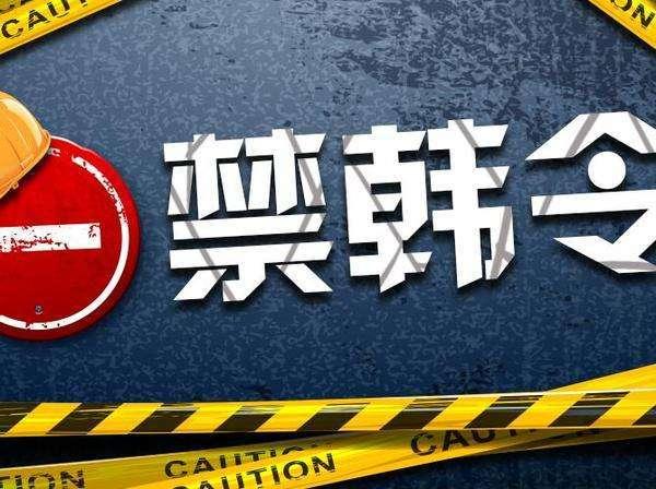 我们的禁韩令还是太超前了。当年我们为什么要搞禁韩令，很多人一开始没看明白，单纯觉