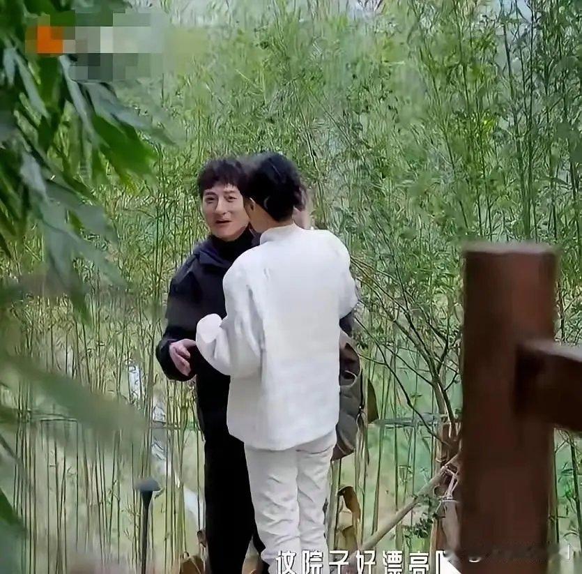 杨乐乐在山里弄的那个院子，李维嘉一脚踏进去，人直接定住了