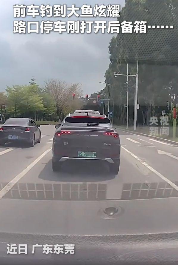 “嘚瑟大了”广东东莞，一名男子钓上大鱼后激动过了头，竟在等红灯时强行打开后备箱，