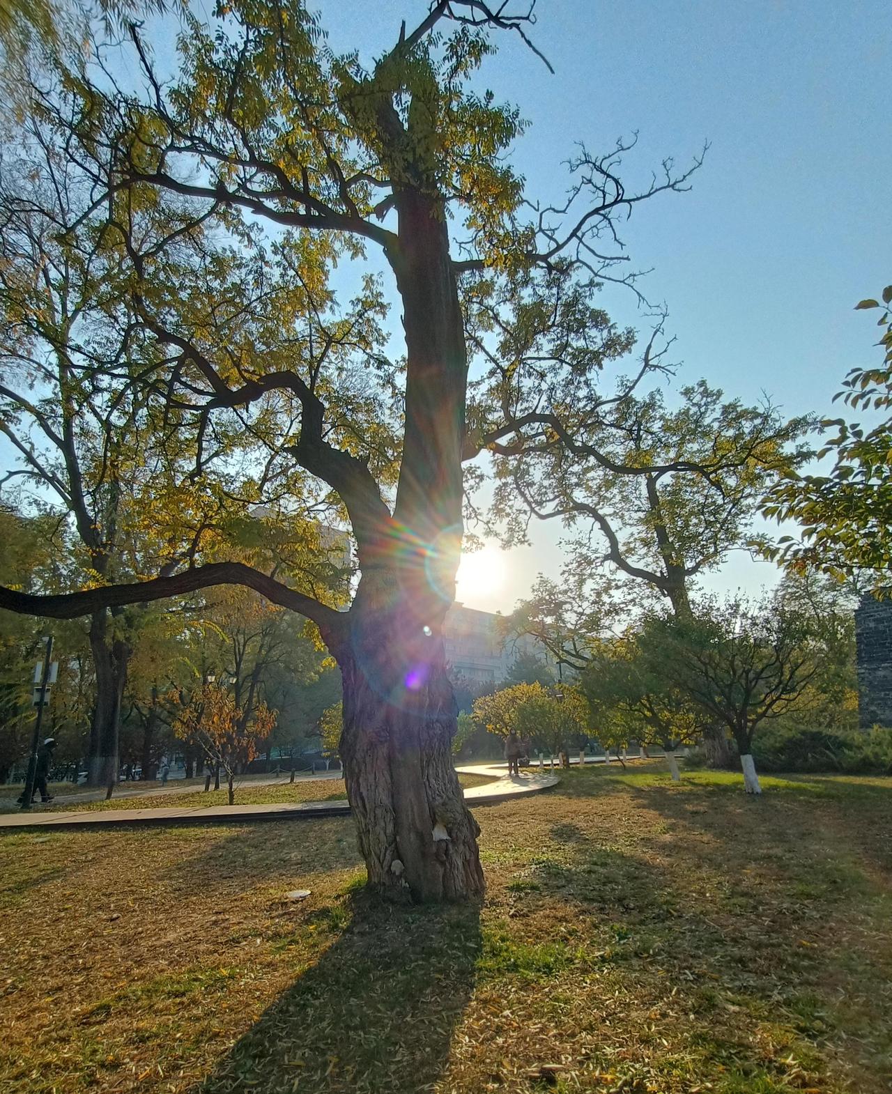 很多医生的孩子也同样家里拥有一个抑郁的孩子。他们当中，同样面对孩子心理问