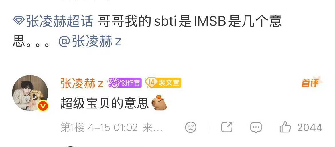 张凌赫的sbtiword天！这是什么顶级解读哥你也太会了吧！！