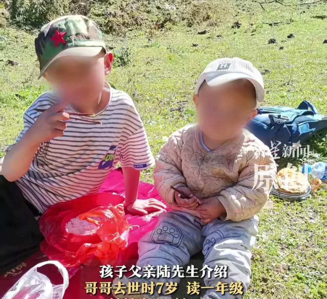 被蜂群蛰死的云南兄妹是留守儿童，当天老人带他们去树林旁的地里干农活，兄妹进林玩耍