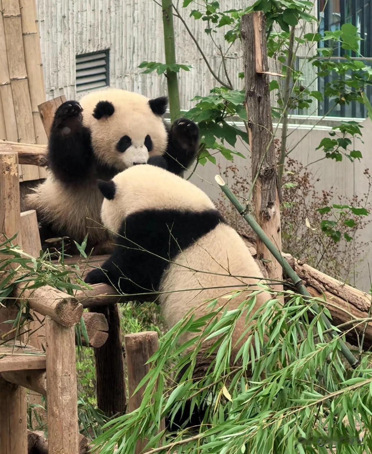 世界只有中国四川省成都市才有的全球“独一无二的10大奇景”🤫如果你只是匆