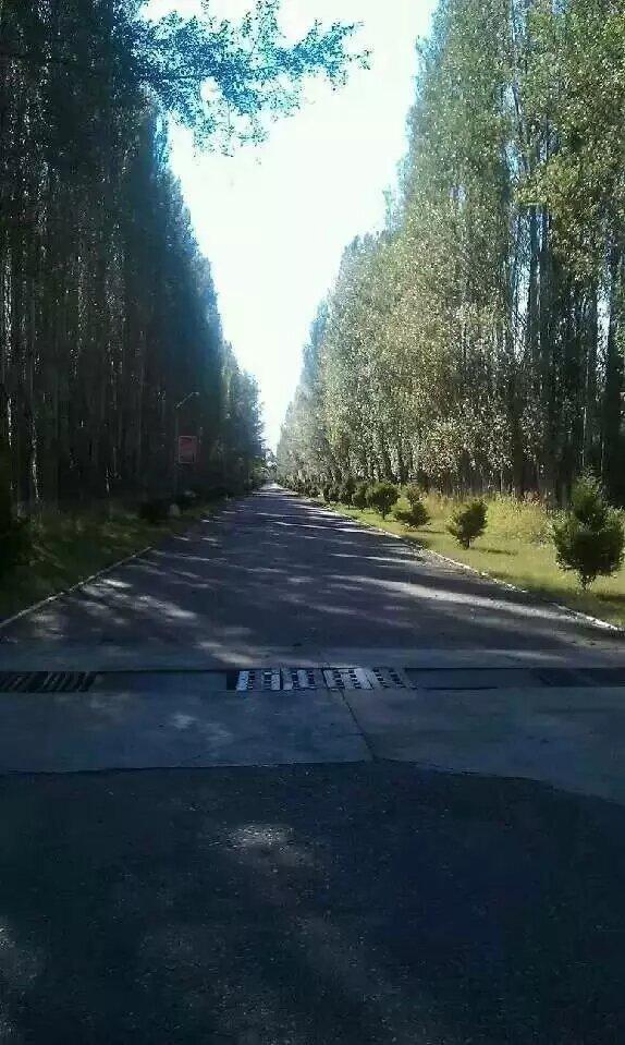 在新疆呆时间长了发现江苏人在新疆的比较多，而江苏人中徐州市区及沛县和丰县的又占很