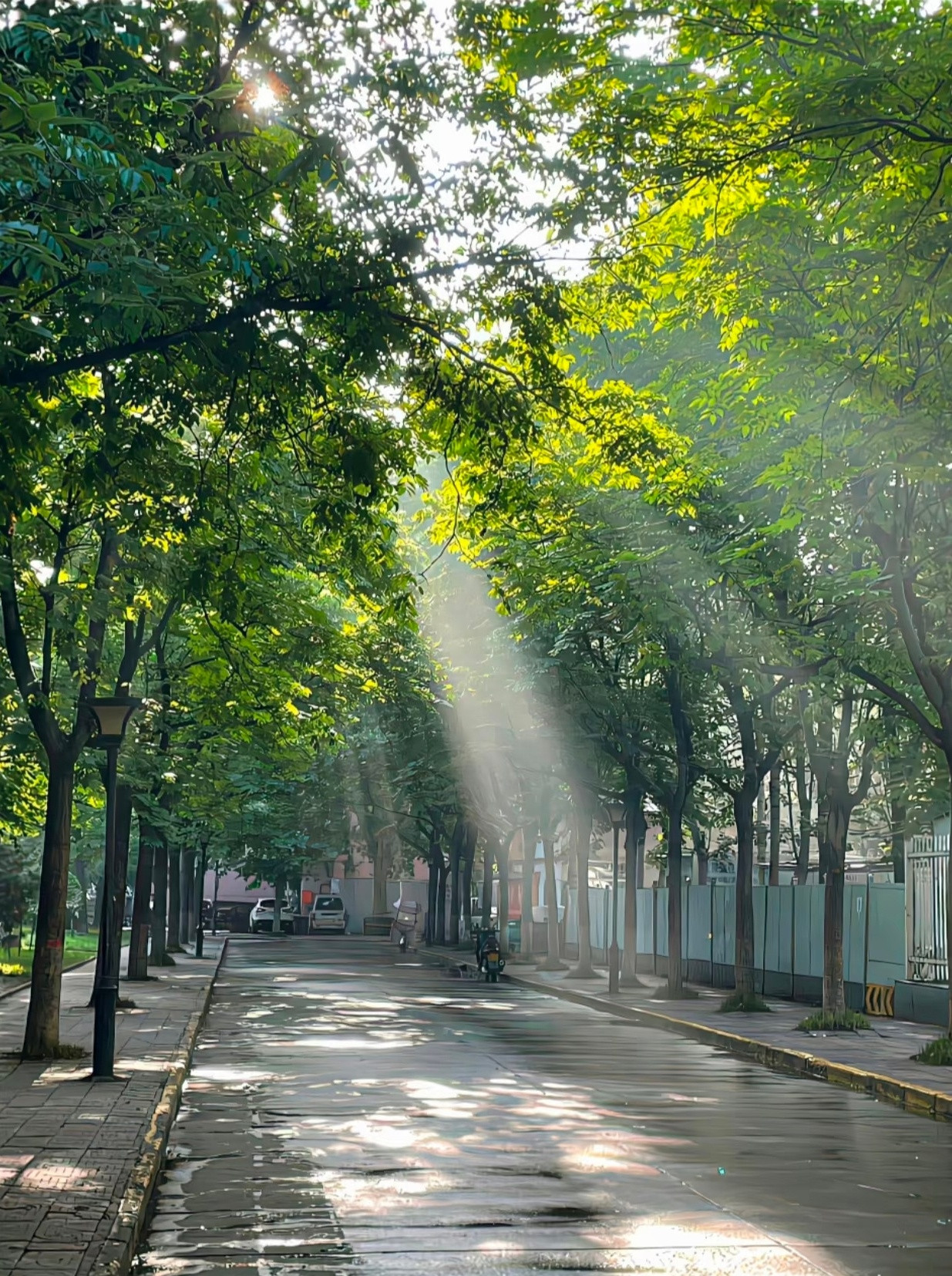 晨光向暖，万事顺遂一朝晨光，一寸清欢——早安