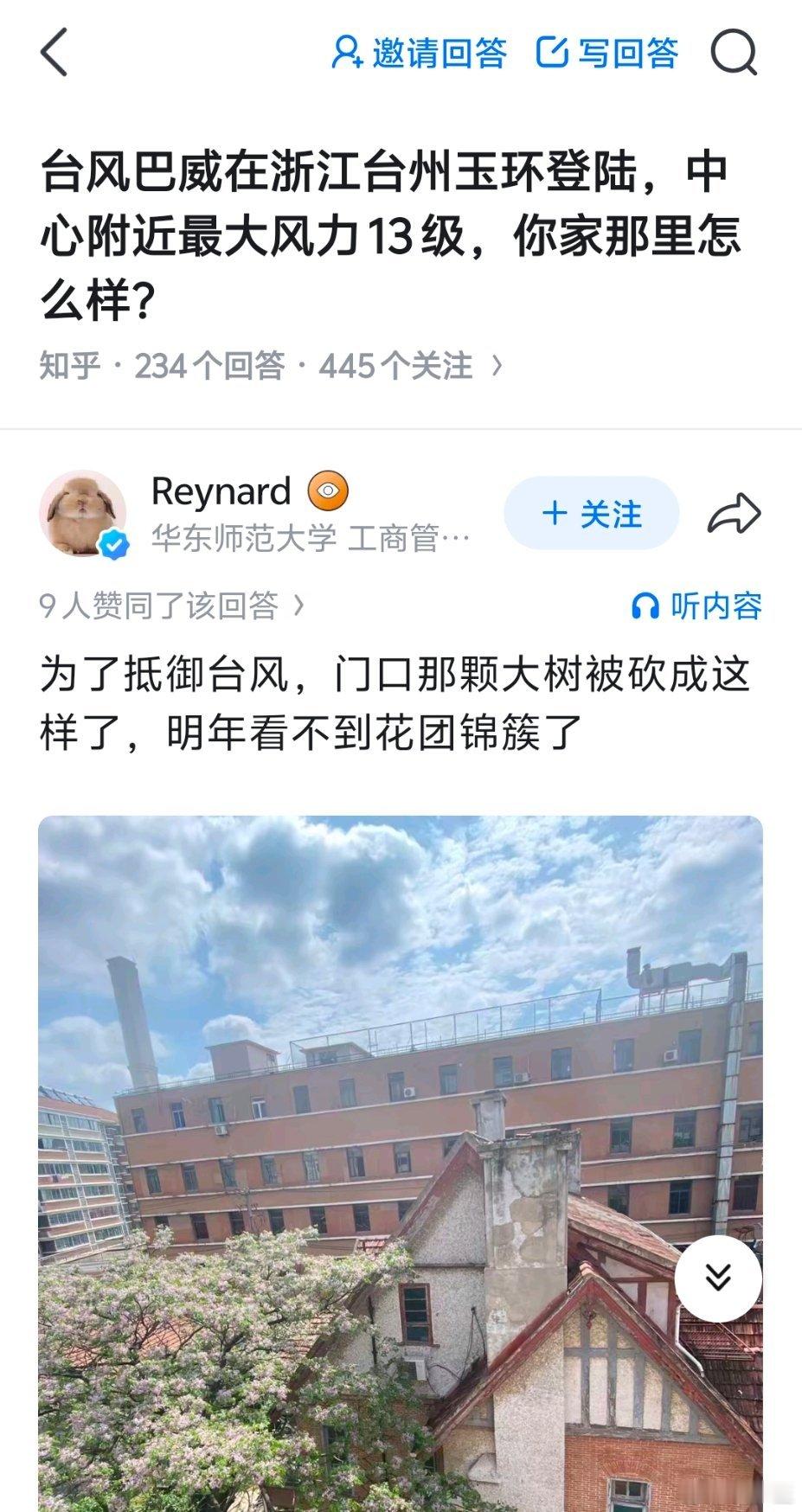 台风过境700多棵树被连根拔起刷到有网友不理解，为什么有的浙江地方防台砍树。那是