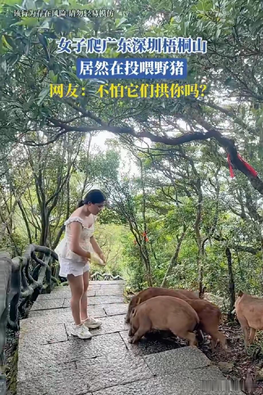 胆子不小啊
