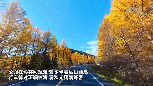 【#沿G331吉林段自驾感受金色秋天#】深秋时节，驾车沿G331吉林段行驶，公路在彩林间蜿蜒，碧水伴着远山铺展