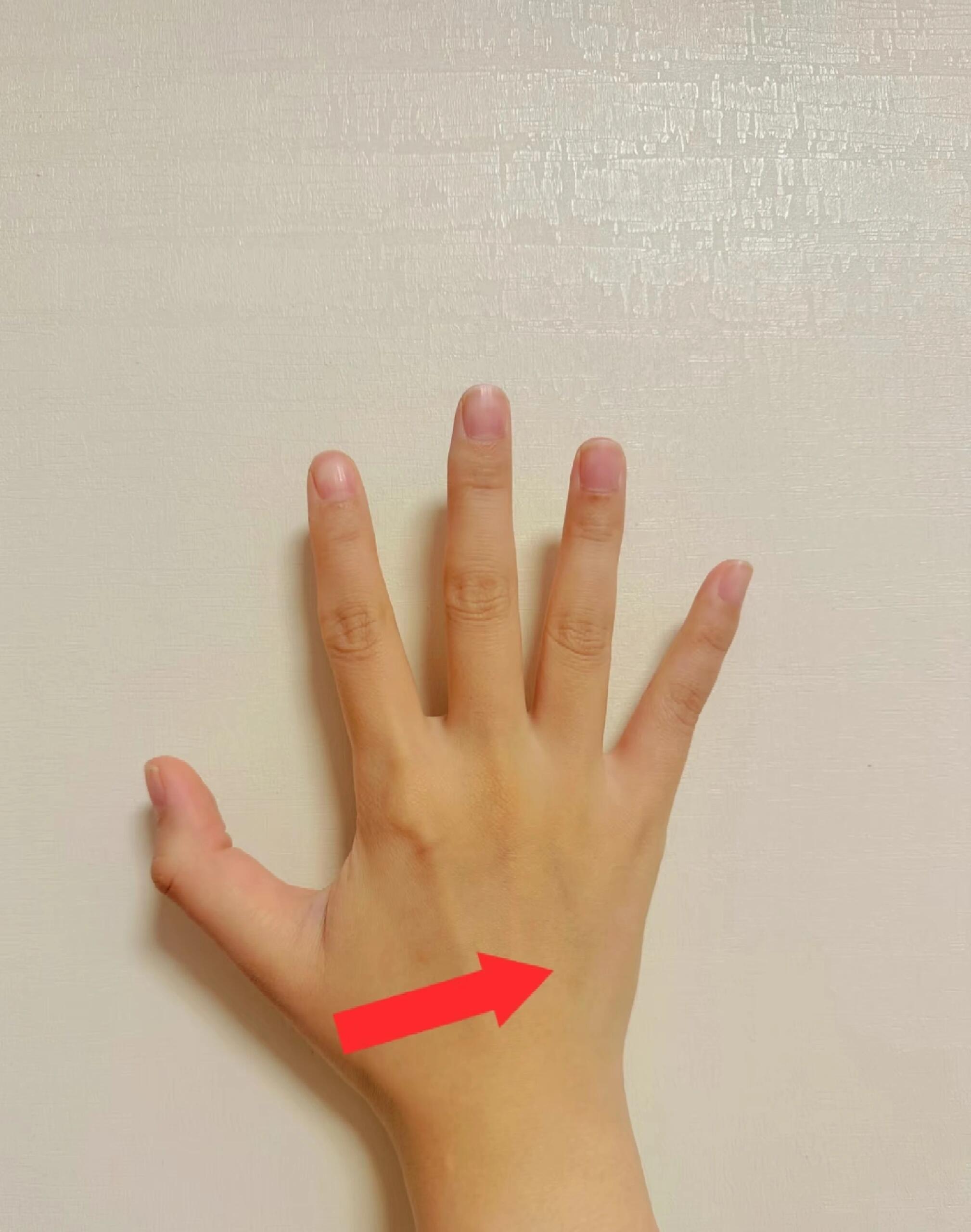 每天做点小动作，夏天一定瘦瘦瘦减肥瘦肚子健康养生​​​