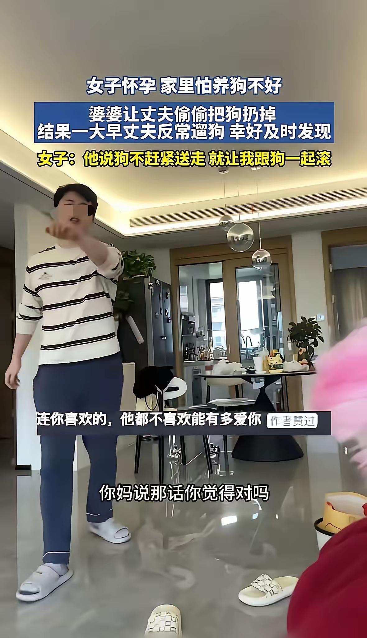 “我宁可不要孩子，也要保住我的狗！”“那你跟狗过吧！你不把狗送走，就跟狗一起滚！