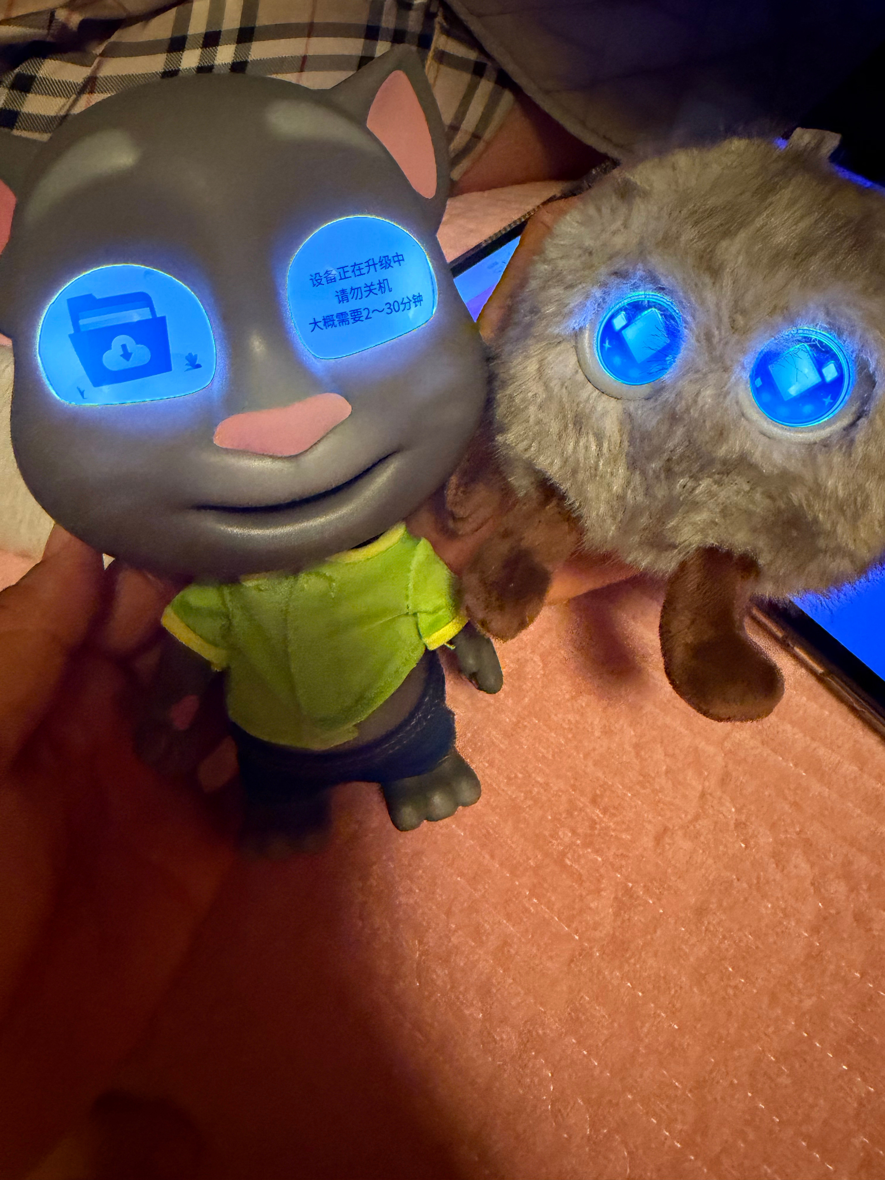 汤姆猫和憨憨在对话两个傻子