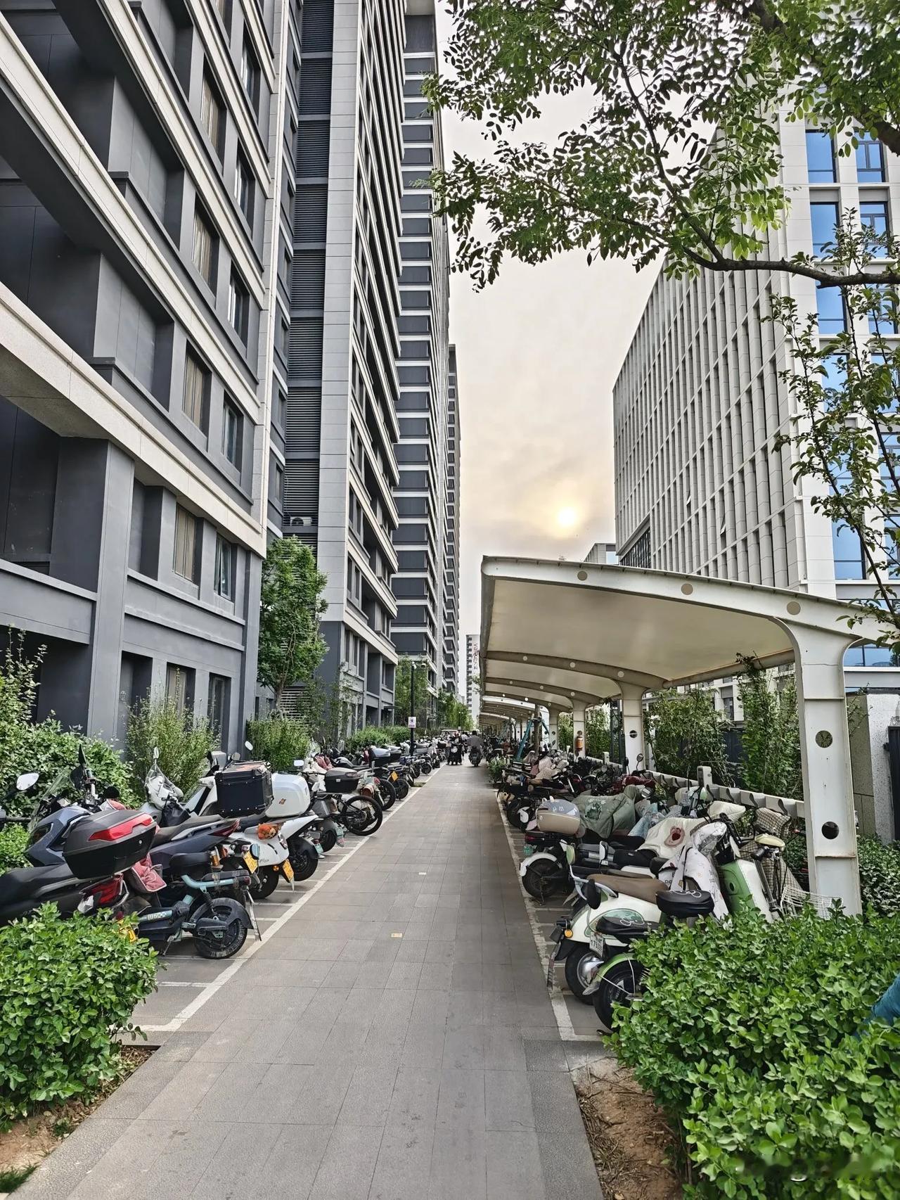 春来晓园是懂济南的，专门把小区的一侧全部留给了电动车，还给电动车画了停车位，不过
