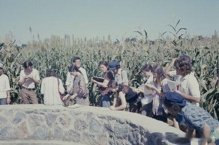 1972年的沈阳人民公社，摄影：爱丽丝·罗斯柴尔德