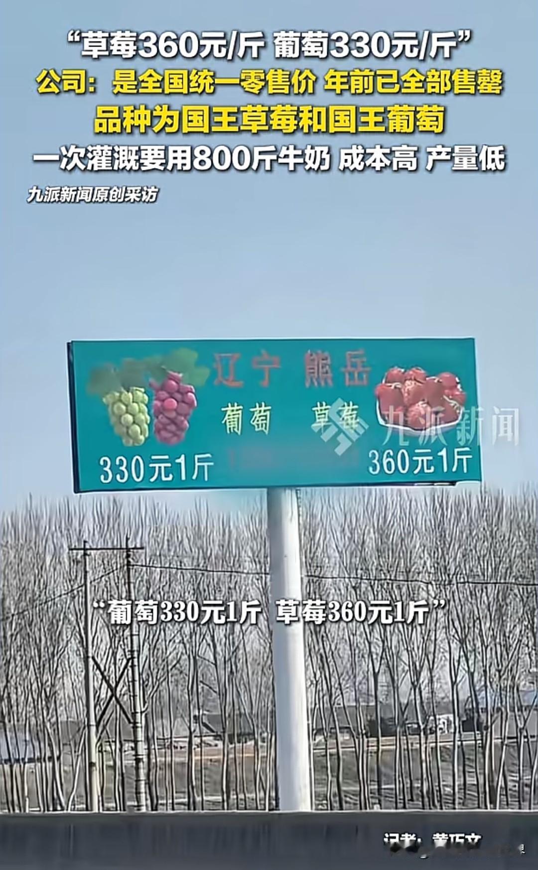 【“牛奶灌溉”种出天价草莓：农业创新何时成了“炫富游戏”？】辽宁熊岳的草莓卖