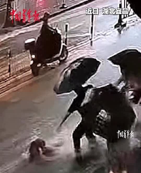 泪目！湖北宜昌，男子回家时，突降暴雨，他赶紧到边上躲雨，突然，发现水中冲