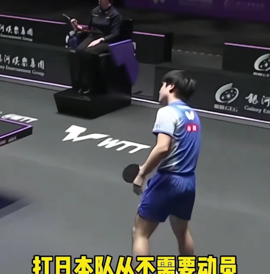 张本智和呀，张本智和，你惹谁不好偏偏惹怒了国乒的球迷，这下“完犊子”了吧