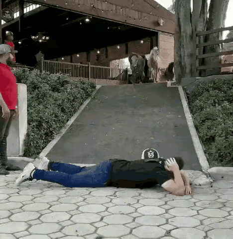 动物其实明白当下的利害关系，它们十分通情达理。在这种紧急情况下，人类很可能会发生