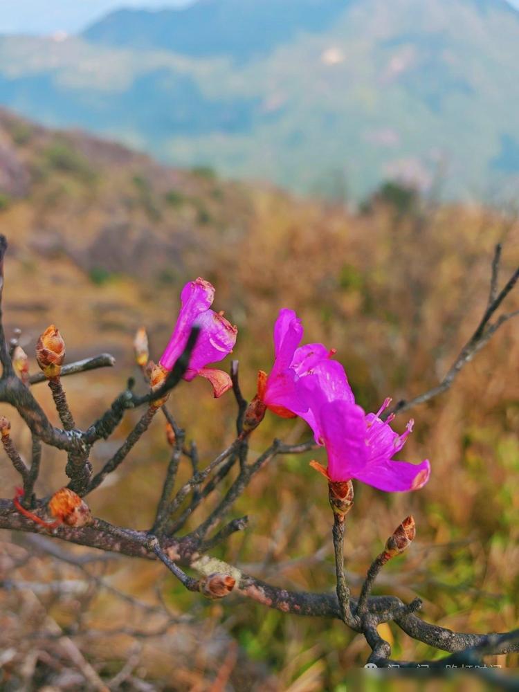 我这时才算是看透了也醒悟了！爷爱孙子是白爱。我有两个女儿没有儿子，大女儿住在城里