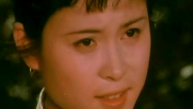 国产经典老电影(梅花巾)主题曲 梅花