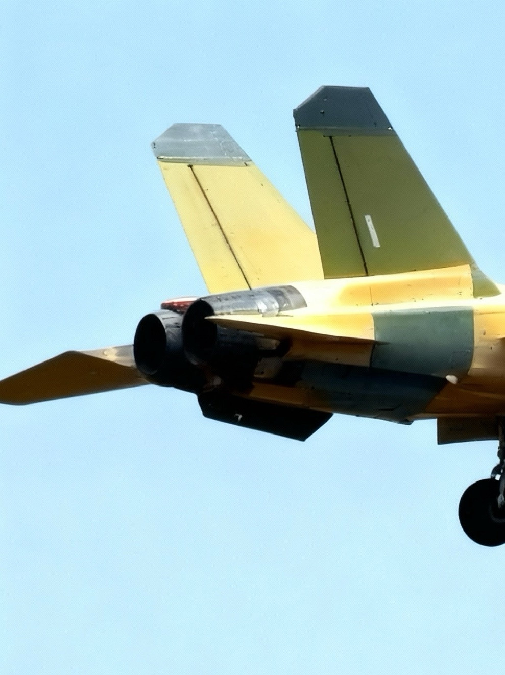 小黄蜂，比之前的清晰：​​​