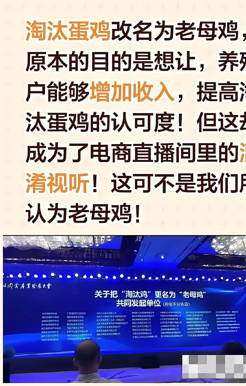 快过年了，兄弟单位问我们要不要淘汰种蛋鸡，100元5只。单位的人趋之若鹜，很多人