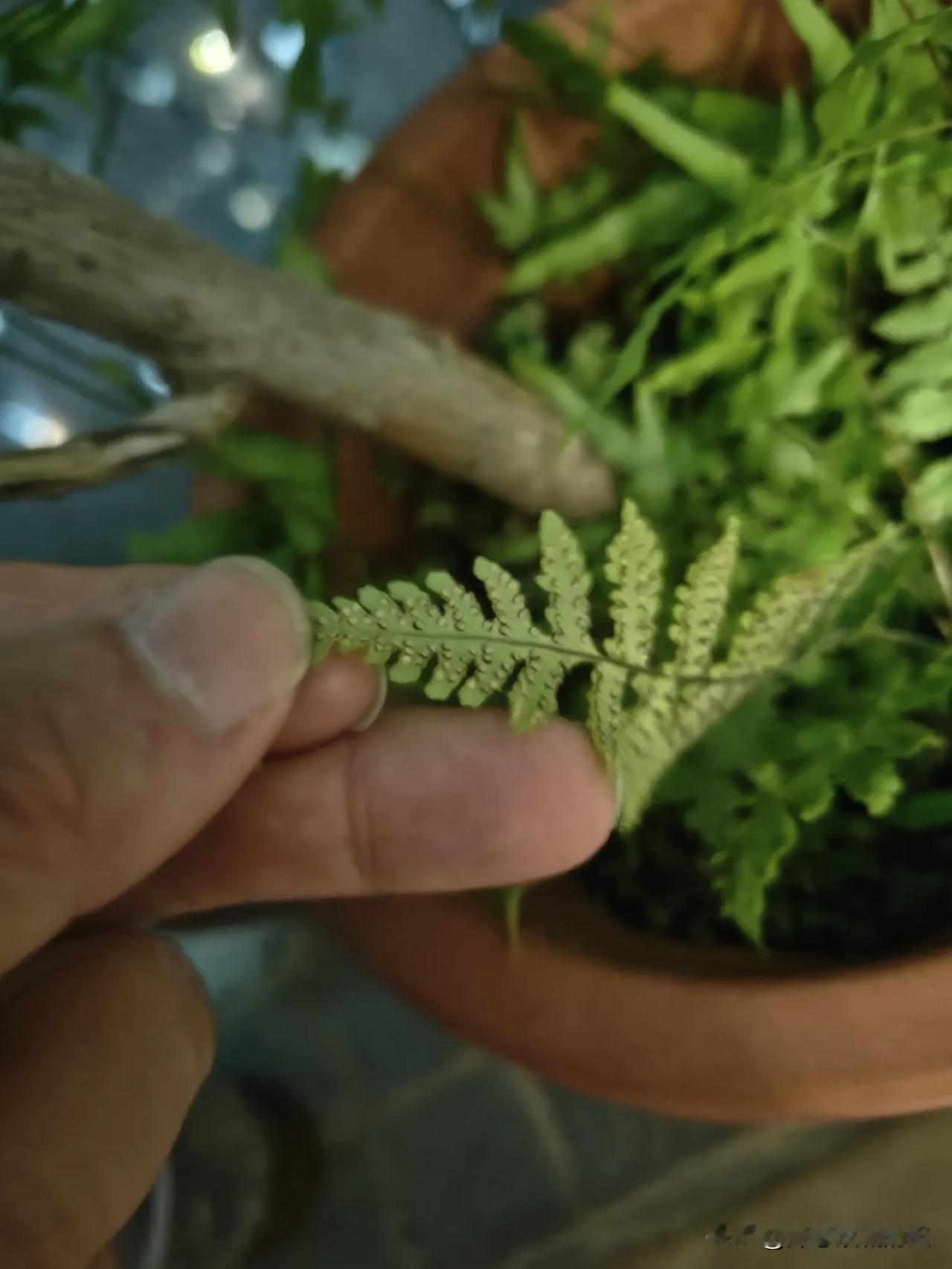 甲方都是大爷吗？昨天老公吐槽了他们公司的一个甲方，他领导带他去见一个客户，平时