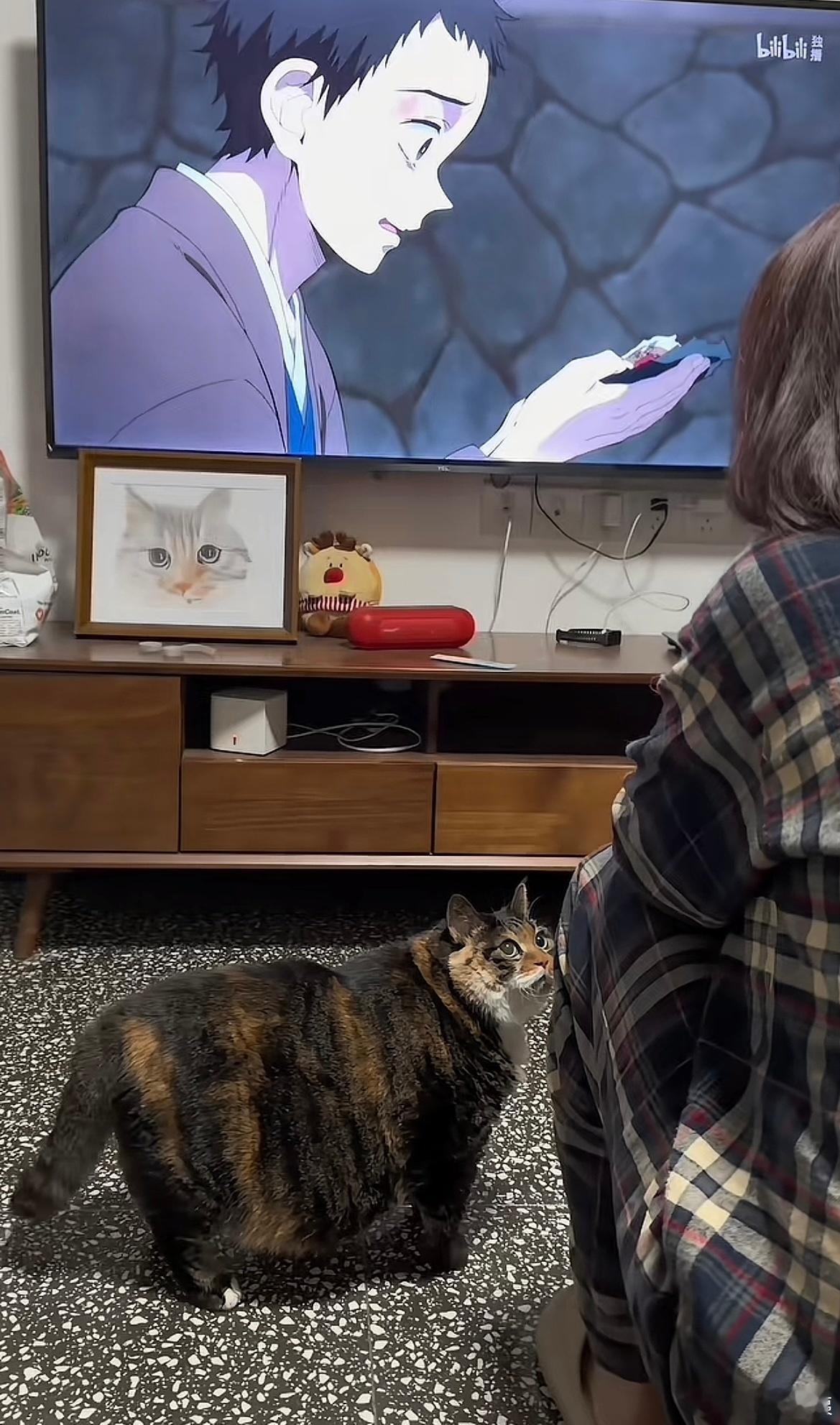 是板凳就坐下是耗牛就放生哈哈哈哈哈哈哈哈哈！！！