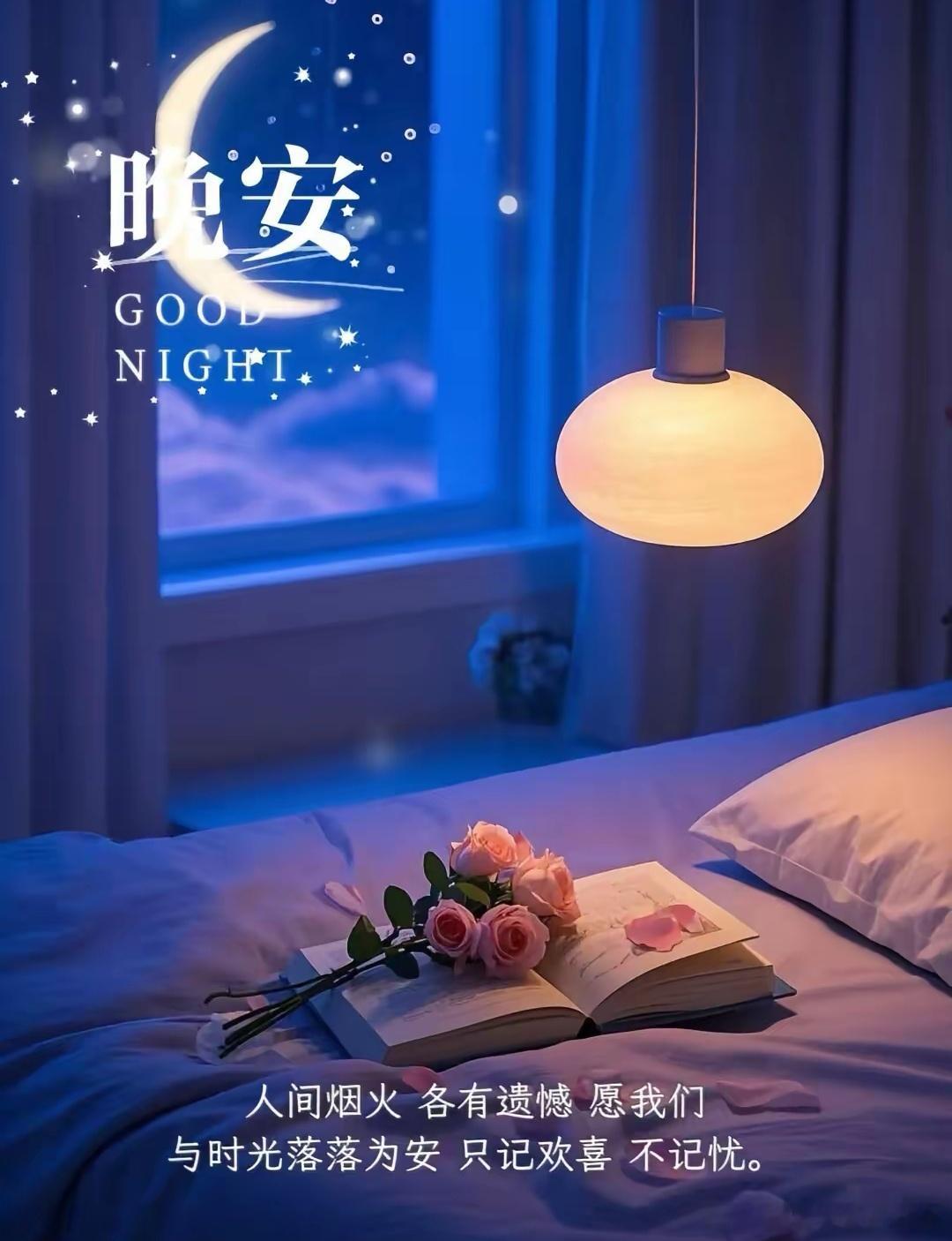 晚安[玫瑰]🌛​​​