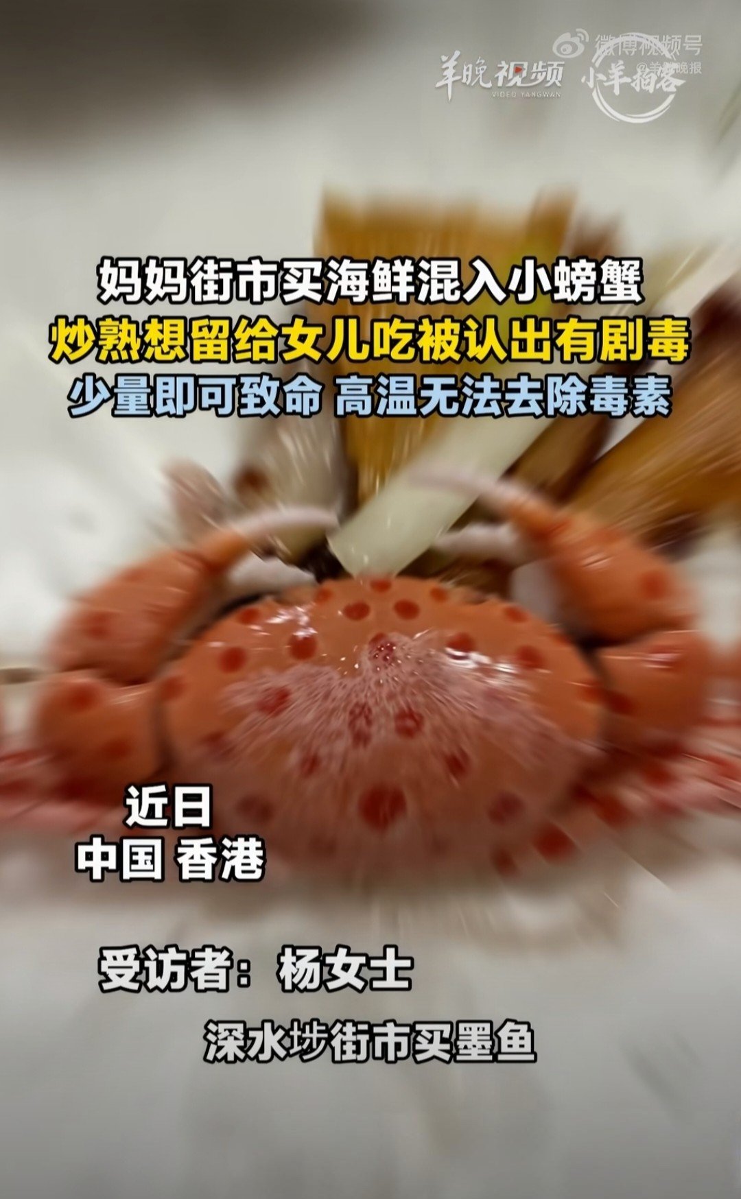 香港深水埗，一则惊险的家庭经历，给所有人敲响饮食安全的警钟。杨女士的母亲在当地一处街市购买墨鱼，回家