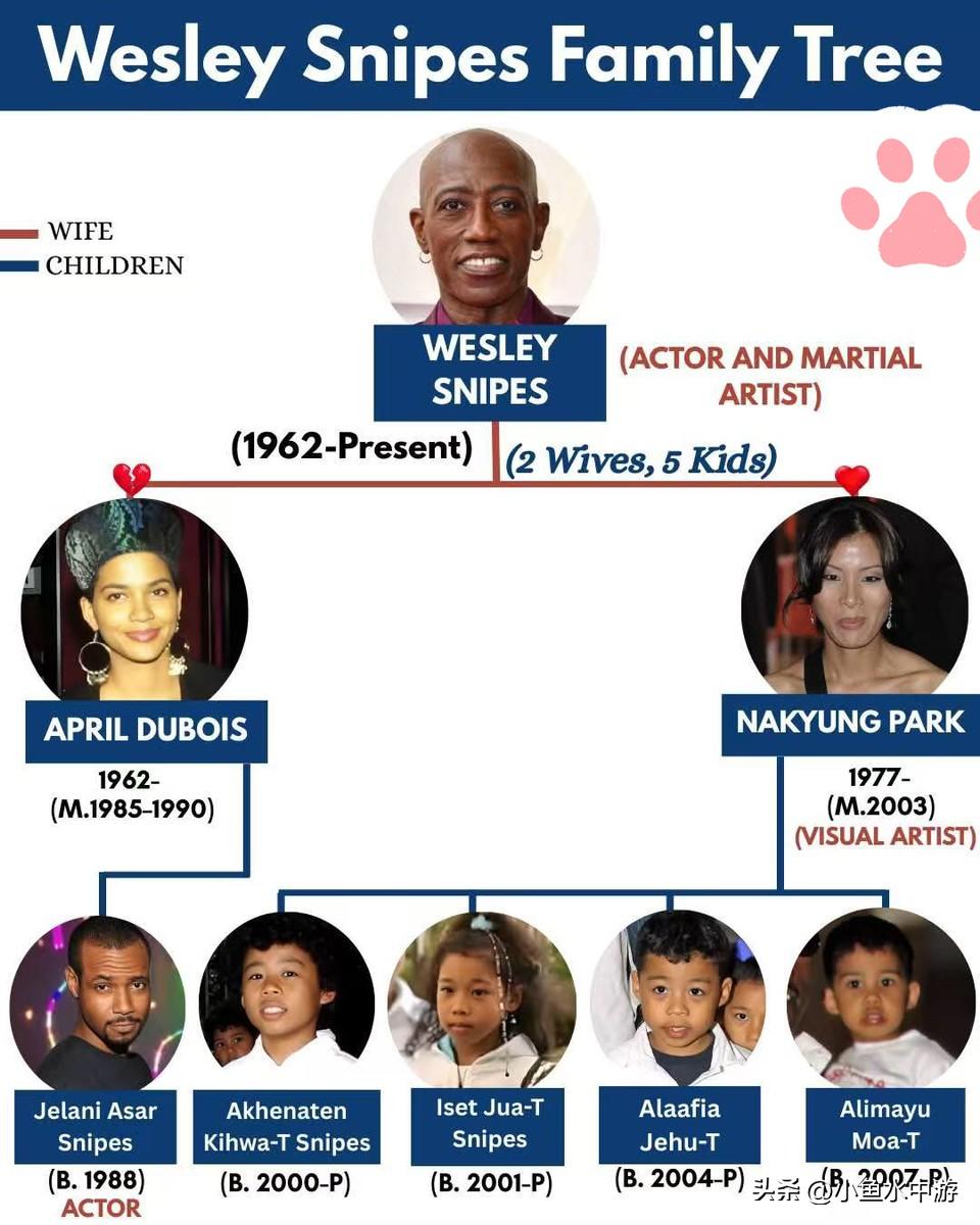 从屠夫之子到动作英雄：斯科特·阿金斯家族谱系