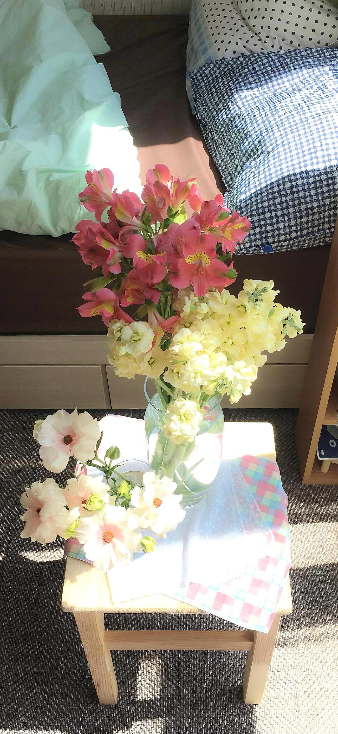 丰富一下新壁纸吧‪.ᐟ‪.ᐟ盛夏壁纸大放送动漫仲夏狂欢季