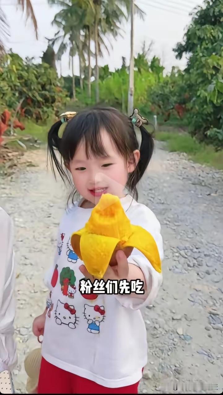 3岁不到的闪闪又跟着妈妈黄一鸣去海南三亚卖芒果了！想不到黄一鸣虽年纪轻轻却满脑子