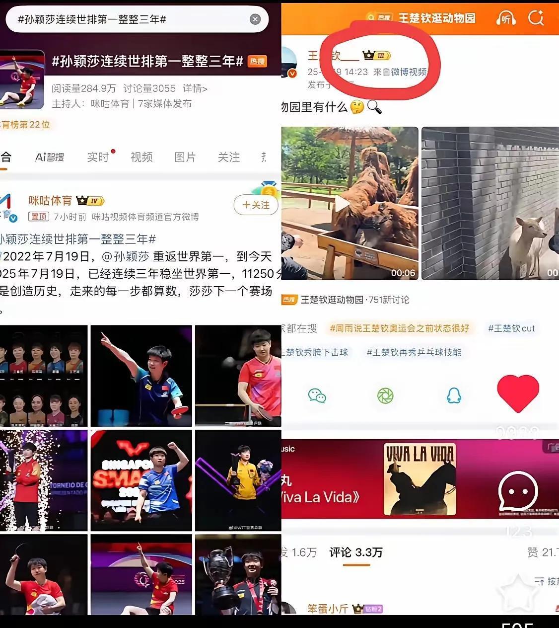 今天是莎莎重返世界排名第一整整三年的日子，值得喜欢莎莎的人们纪念。头哥今天下午