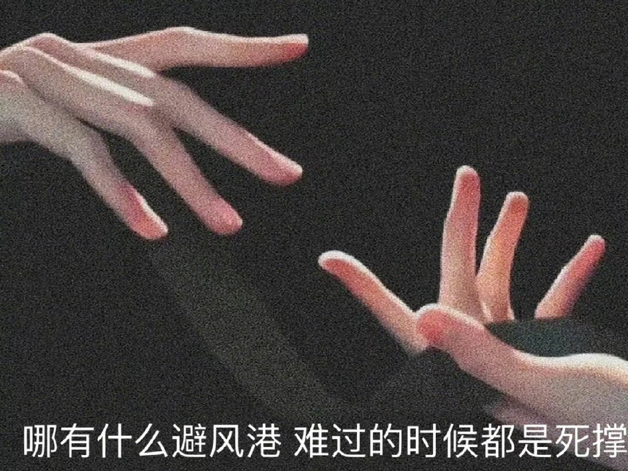 最近，看到一个准到吓人的夫妻定律，没用的老公嫌妻子，能干的老公疼妻子，懒惰的老公