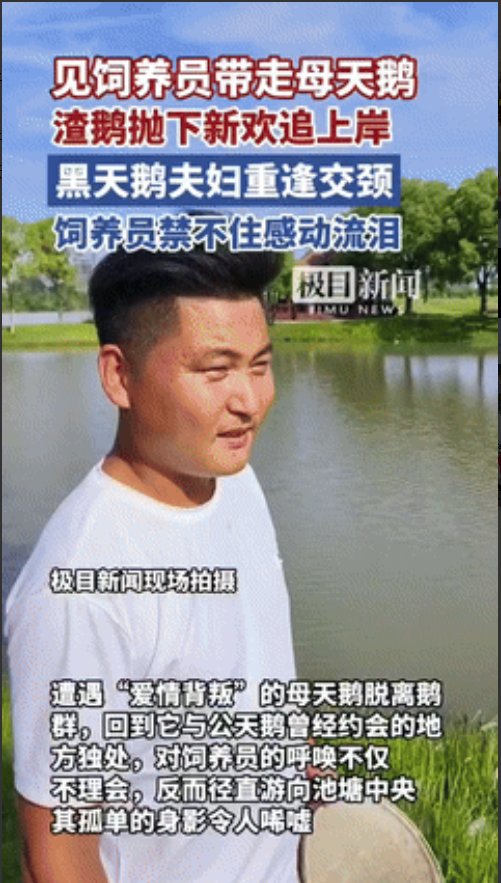 “真不愧是夫妻！”一对夫妻从贵州前往广东途中，因小事而发生争吵，妻子把男子丢在高