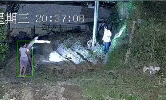 万万没有想到！10月8日晚八点多，海南，一女子家地里来了一位大妈，只见大妈鬼鬼祟