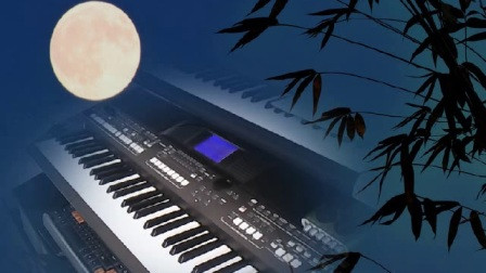 卡农沈阳成人无基础学钢琴吉他电子琴葫芦丝长