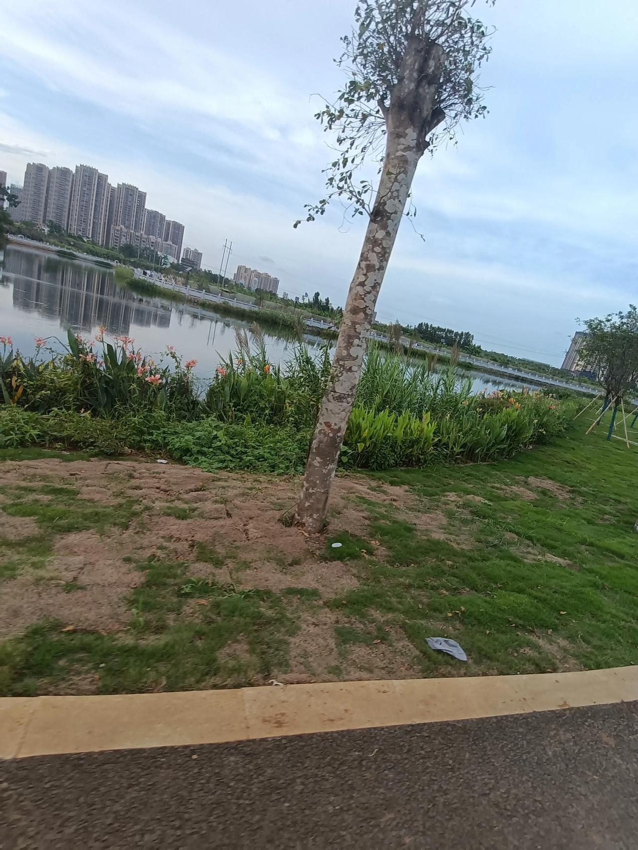 我姑姑是一位上海住家保姆，干了一辈子家政，就在50岁突然做上海住保姆，60岁退休