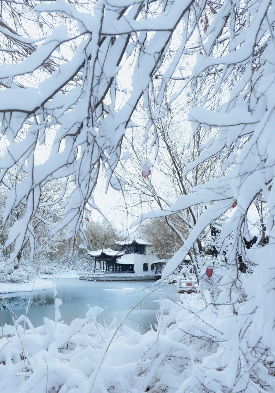 河南多地今晨拉开“冰雪模式”，这场雪下得挺实在。从北到南，雪量分明。北边的朋友一