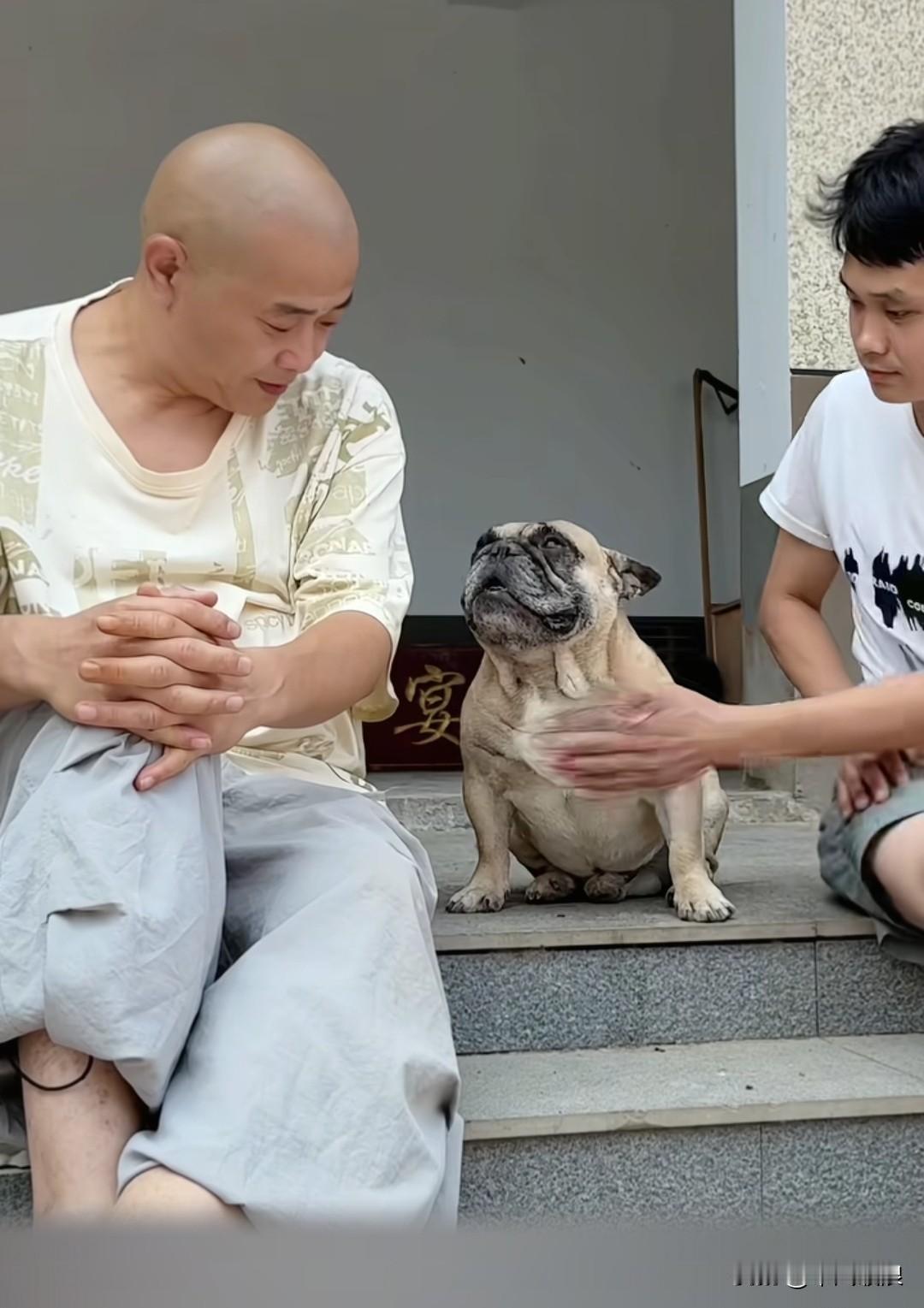 没养过狗的人根本摸不透其中的乐趣，儿子故意扬手拍它，它立马直往爸爸怀里钻，求爸爸